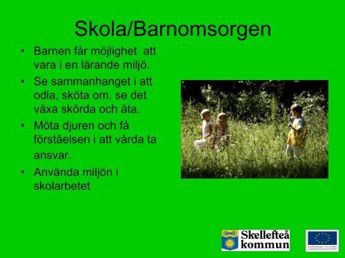 Solkraft - hälsans trädgård - Skellefteå kommun