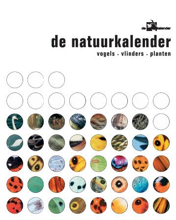 Groot koolwitje - De Natuurkalender