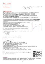 TI83 – werkblad