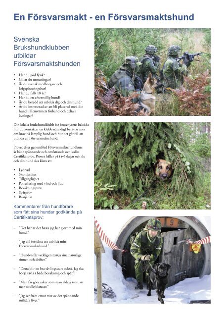 Försvarsmakts- hund (pdf)