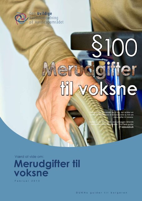 Lovguide - merudgifter til voksne - DUKH