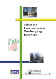 Bijlage 7 Quickscan Flora- en faunawet Oostburgweg Enschede ...