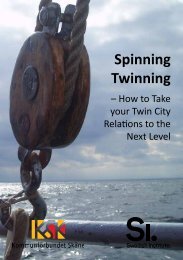 Spinning Twinning