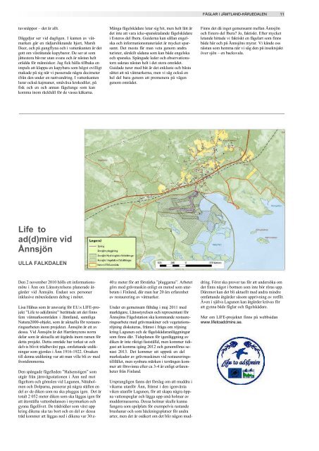 Årsrapport 2010 - Ånnsjöns fågelstation