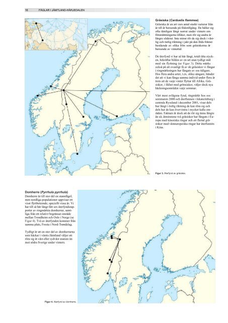 Årsrapport 2010 - Ånnsjöns fågelstation