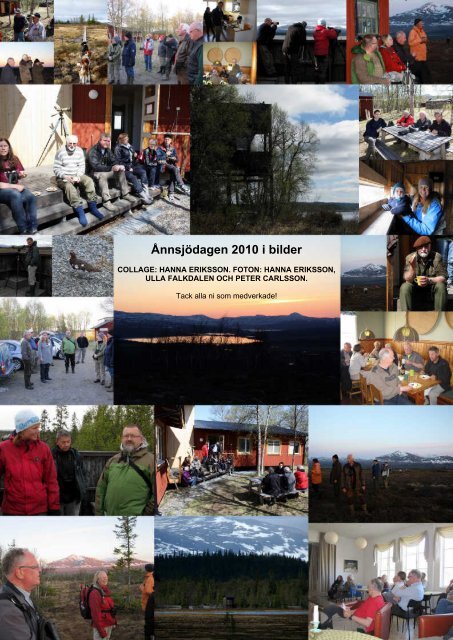 Årsrapport 2010 - Ånnsjöns fågelstation