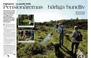 Frigångarna – ny populär klubb - Ordvillan