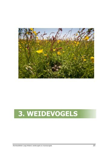 Kernkwaliteit Weidevogels in Laag Holland - Kenniscentrum ...