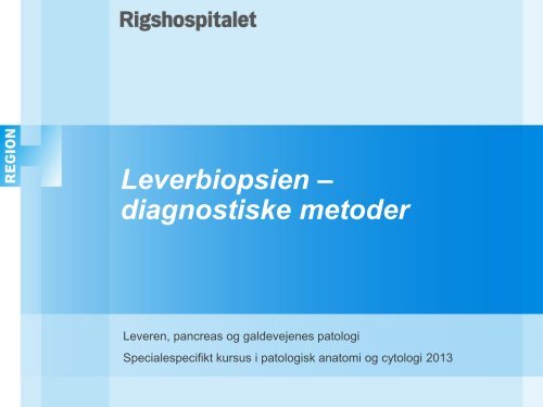 Leverdiagnostik