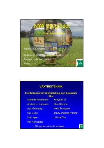 NYA Oljegrödor