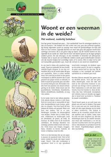 Woont er een weerman in de weide? - Grasspriet