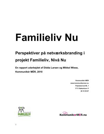 Rapport om perspektiver på netværksbranding - Nivå Nu