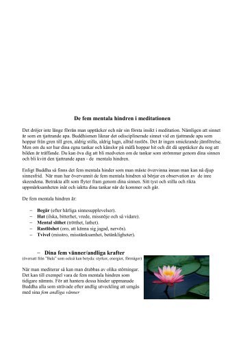 De fem mentala hindren i meditationen - BuddhismInfo.se