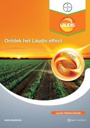 Brochure Laudis 2010 NL.indd - Bayer CropScience