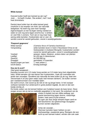 Download hier de spreekbeurt over de kameel - NVD Dierentuinen