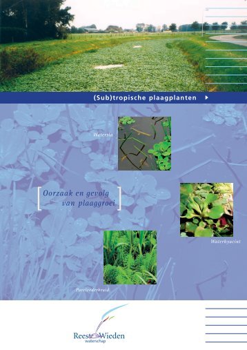 Folder subtropische plaagplanten - Waterschap Reest en Wieden