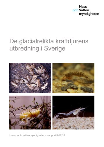 De glacialrelikta kräftdjurens utbredning i Sverige - Havs