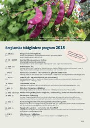 Bergianska trädgårdens program 2013