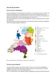 R . K A M M A N - De Taal van Overijssel