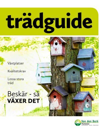 Träd 12/13 - Van den Berk Boomkwekerij