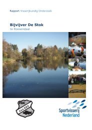 Bijvijver De Stok te Roosendaal 2011 - comp - Geduld Brengt Vis
