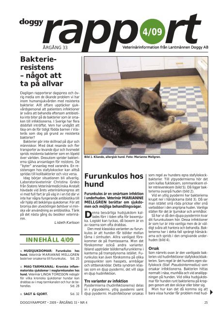 Furunkulos hos hund Bakterie- resistens – något ... - Doggy Rapport