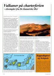 Artiklen er en pdf-fil på 378 kb - GeologiskNyt