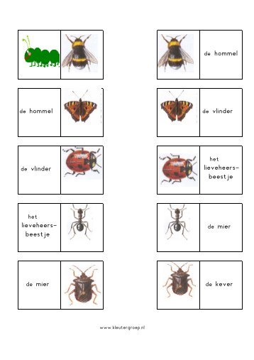 leesrups insekten met lidw.pdf - Kleutergroep