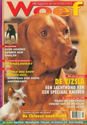 magazine van dehondenvriend - Vizsla-kennel van het Oetervelt