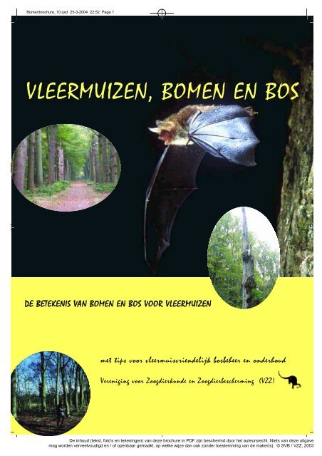 Vleermuizen, bomen en bos (pdf) - De Zoogdiervereniging