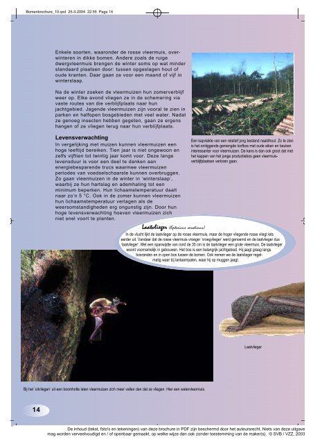 Vleermuizen, bomen en bos (pdf) - De Zoogdiervereniging