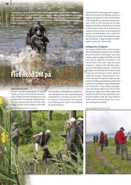 Reportagen fra Retrieveren - Dansk Retriever Klub