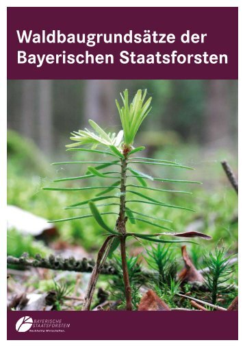 Waldbaugrundsätze der Bayerischen ... - Bayerische Staatsforsten