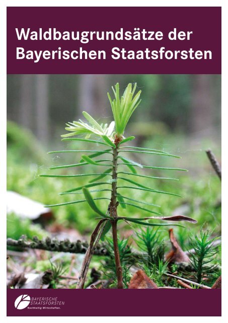 Waldbaugrundsätze der Bayerischen ... - Bayerische Staatsforsten
