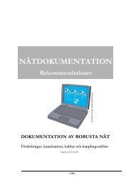 dokumentation av robusta nät - SSNf
