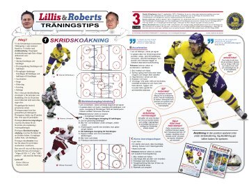 Lillis & Roberts hockeytips Del 1-8 (PDF 4,3 mb) - Coaches Corner