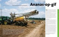 Ananas-op-gif (PDF)