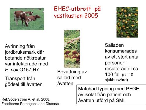 Vatten och miljömikrobiologi på SMI