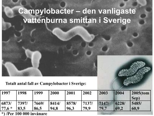 Vatten och miljömikrobiologi på SMI