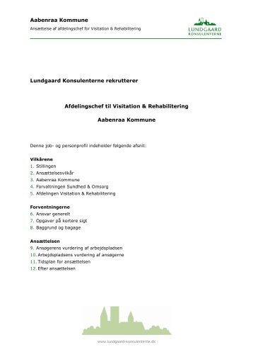 Aabenraa Kommune Lundgaard Konsulenterne rekrutterer ...