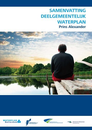 samenvatting deelgemeentelijk waterplan - Prins Alexander