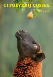 Fall catalogue 2013 - Uitgeverij Cossee