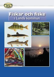 Fiskar och fiske i Lunds kommun - Höje å vattenråd