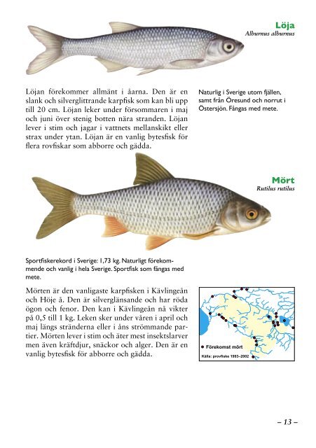 Fiskar och fiske i Lunds kommun - Höje å vattenråd