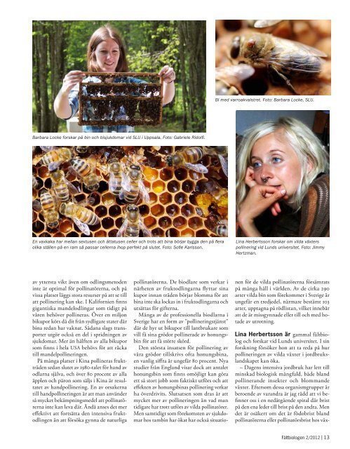 Fältbiologen 2/2012.pdf - Fältbiologerna
