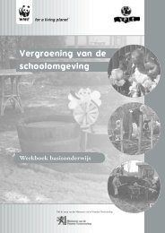 Vergroening van de schoolomgeving