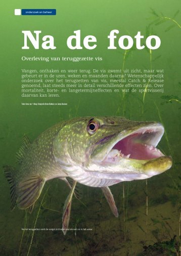 Na de foto, Visionair 23_Maart 2012 (PDF) - Arnovanthoog.nl