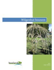 Wilgenhut bouwen - springzaad.be