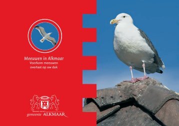 Folder Meeuwenoverlast - Gemeente Alkmaar
