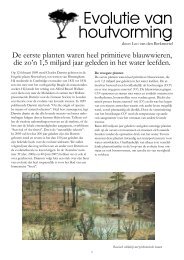 Evolutie van houtvorming - Arboretum Oudenbosch
